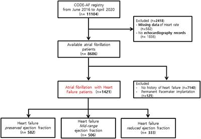 Clinical Implications of <mark class="highlighted">Heart Rate Control</mark> in Heart Failure With Atrial Fibrillation: Multi-Center Prospective Observation Registry (CODE-AF Registry)